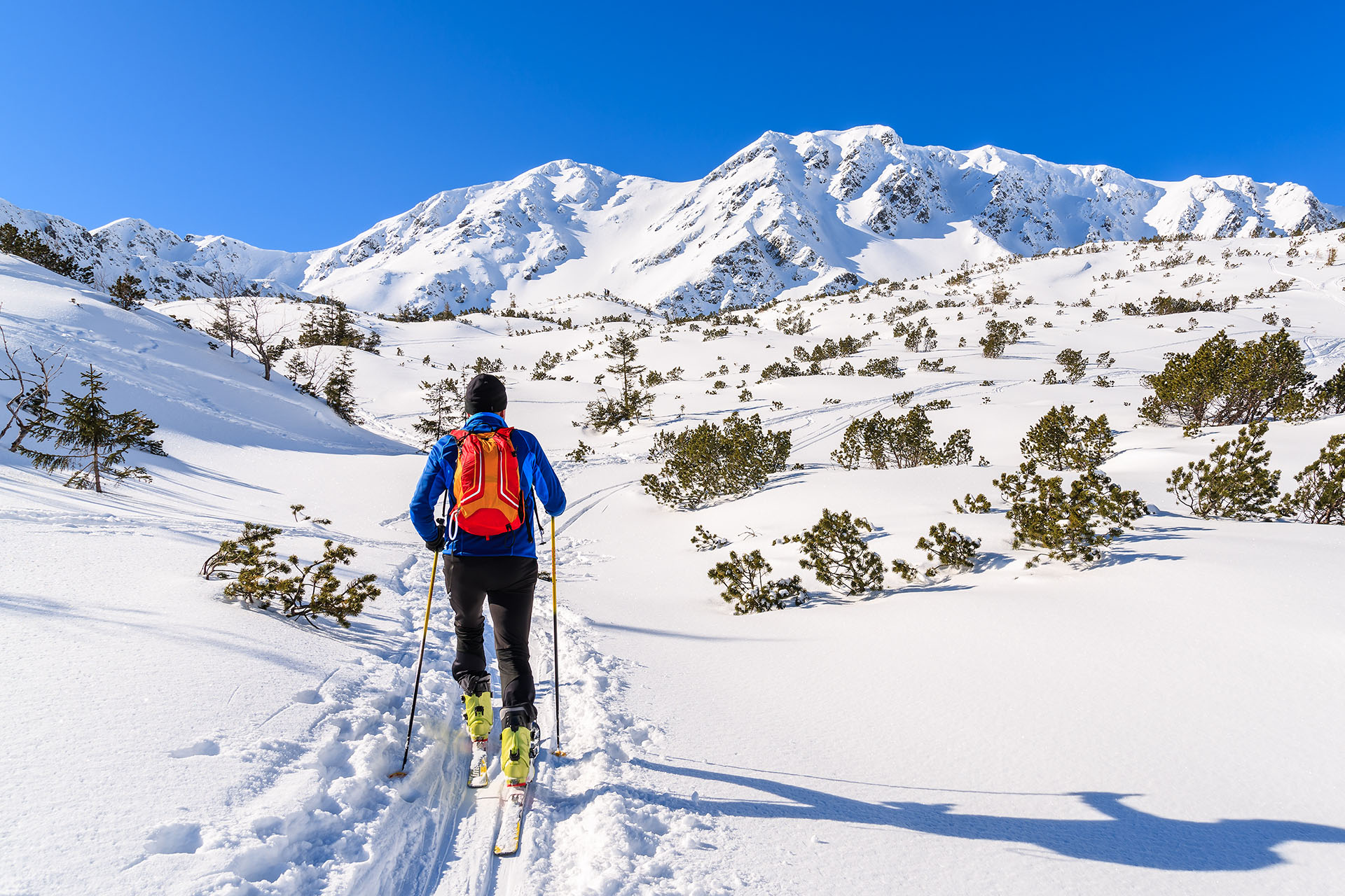 Ski touring